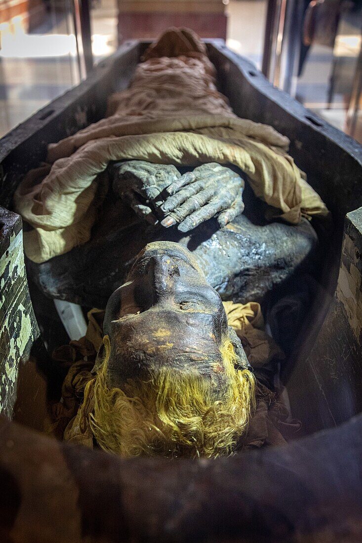 Mummy of thuya in her sarcophagus (18th dynasty), egyptian museum of cairo devoted to egyptian antiquity, cairo, egypt, africa