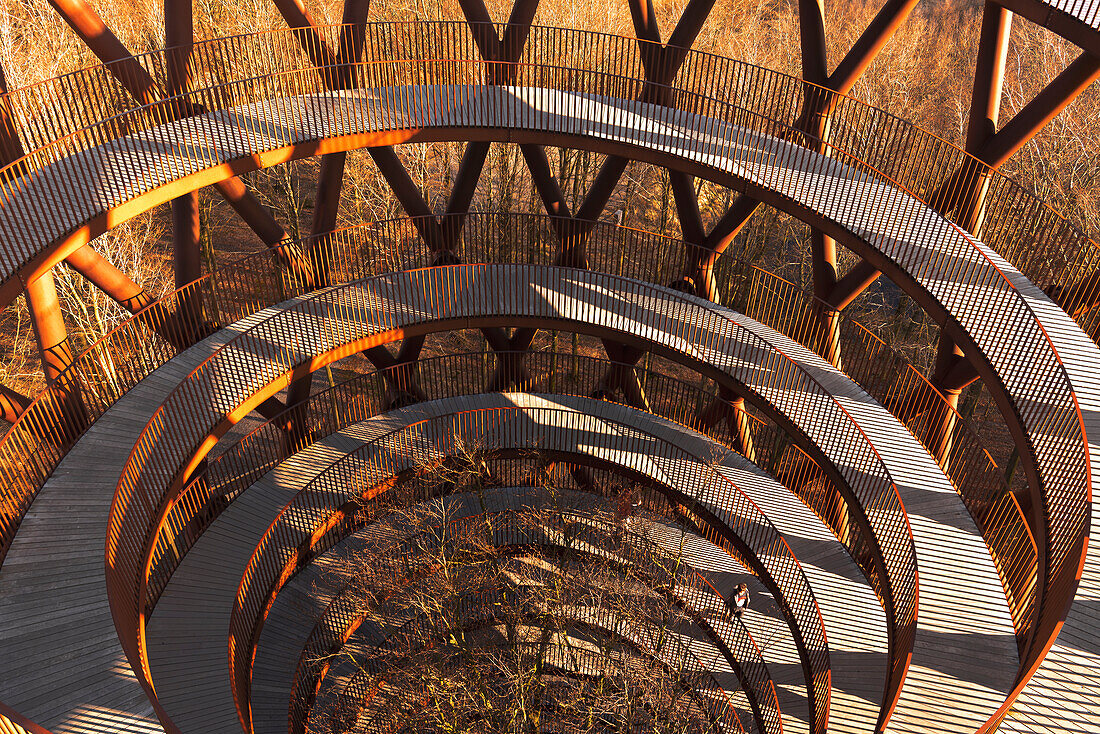 Detail des spiralförmigen Pfades, der die architektonische Struktur des Waldturms zwischen Bäumen erklimmt, Seeland, Dänemark, Europa