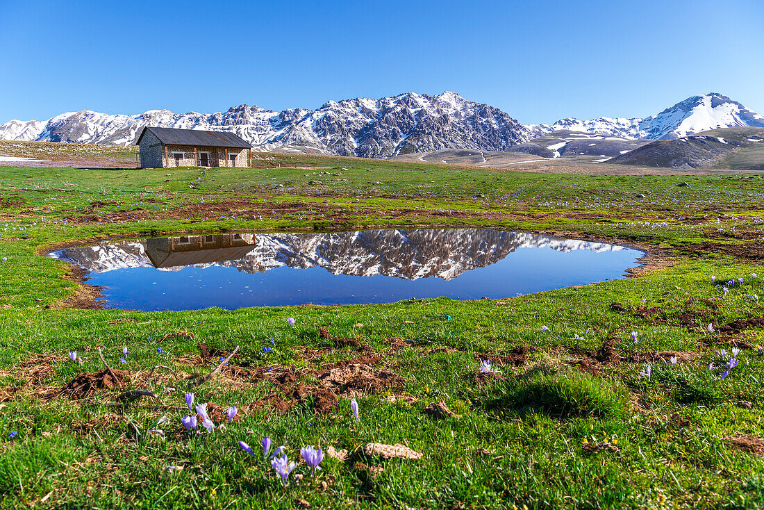 Reflection of the snowy peak of Prena mount and a mountain hut in the water of a small lake during the spring thaw, Gran Sasso and Monti della Laga national park, L’Aquila province, Abruzzo, Italy