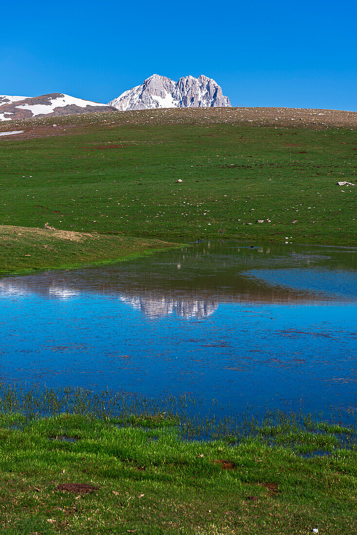 Spiegelung des schneebedeckten Gipfels des Gran Sasso im Wasser eines kleinen Sees und grüne Wiesen im Frühling, Nationalpark Gran Sasso und Monti della Laga, Provinz L'Aquila, Abruzzen, Italien