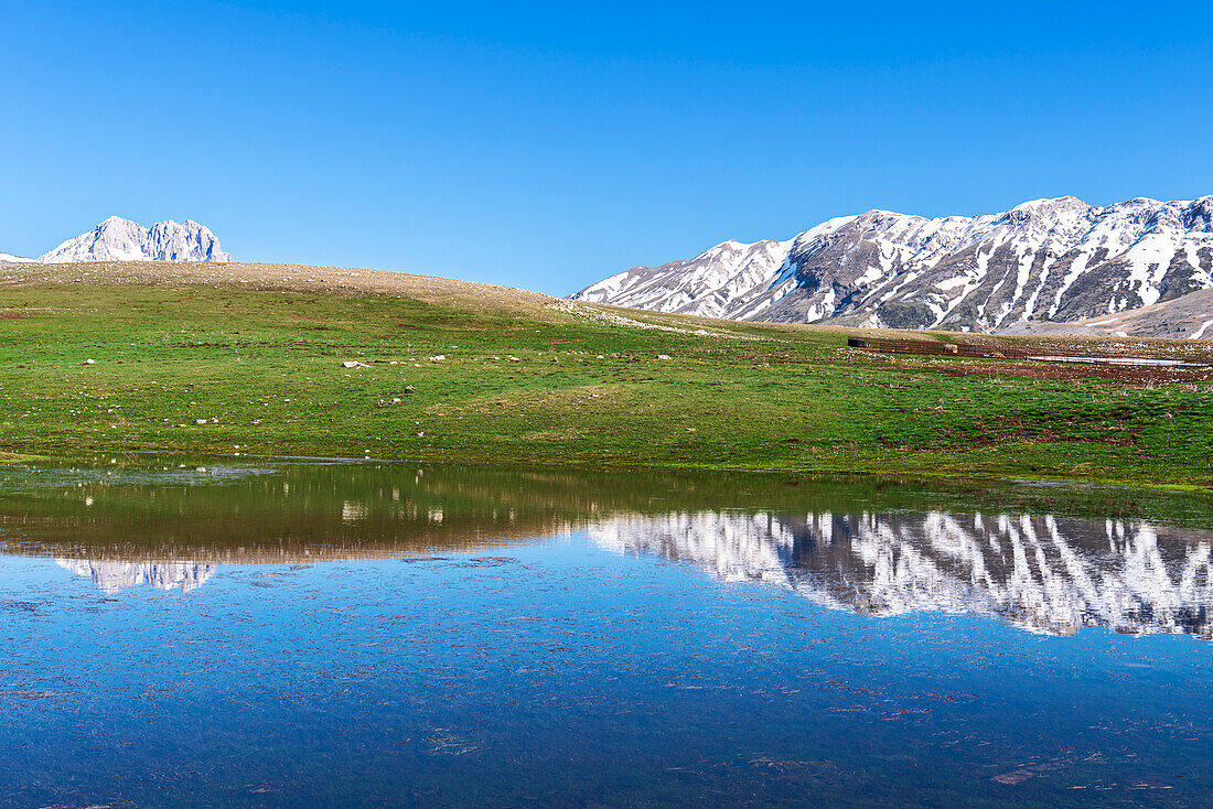 Spiegelung des schneebedeckten Gipfels des Gran Sasso und der Gran Sasso-Gebirgskette auf einem kleinen See und einer grünen Wiese, Nationalpark Gran Sasso und Monti della Laga, Provinz L'Aquila, Abruzzen, Italien