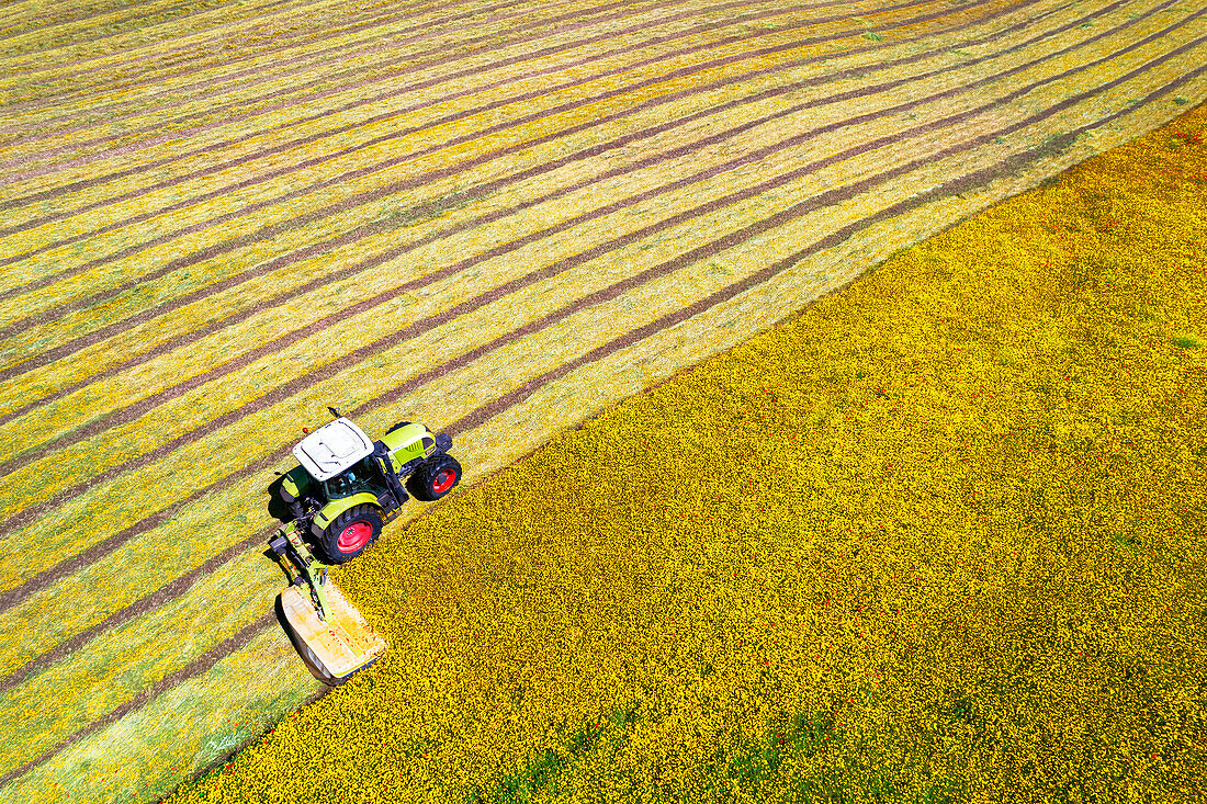 Luftaufnahme eines Traktors auf einem Feld, der Gras für Heu schneidet, Provinz Frosinone, Region Ciociaria, Latium, Mittelitalien, Italien