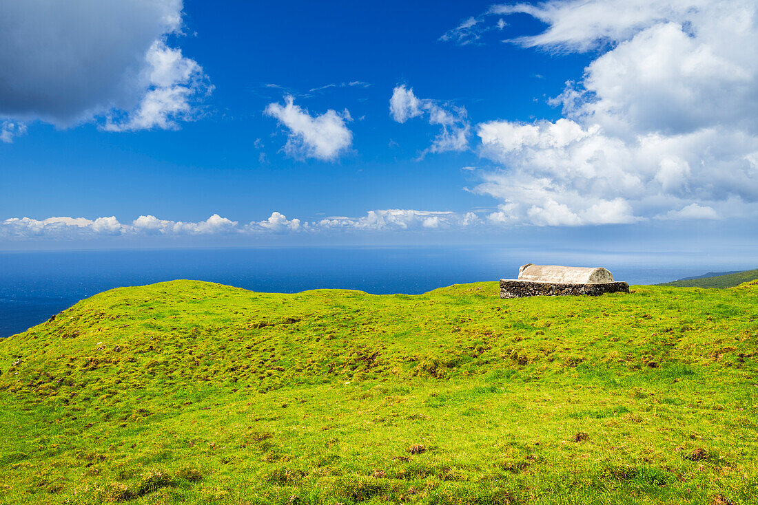 Blick auf grüne Weide und Trog in der Landschaft, Gemeinde Lajes do Pico, Insel Pico (Ilha do Pico), Azoren-Archipel, Portugal, Europa
