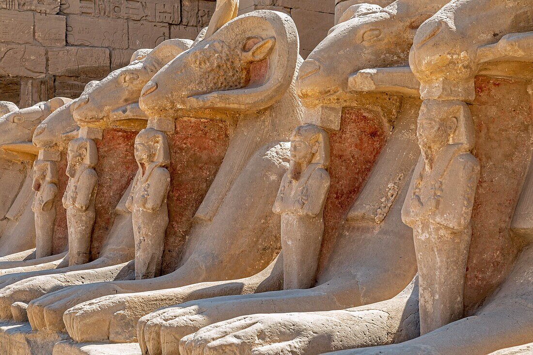 Dromos, Allee von Sphinxen mit Ziegenköpfen, die zum Eingang des Karnak-Tempels führt, antike ägyptische Stätte aus der 13. Dynastie, unesco-Weltkulturerbe, luxor, ägypten, afrika