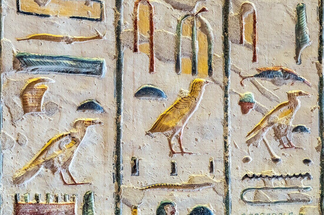 Ägyptische Hieroglyphen, figurative heilige Schriften, Grab des Pharaos Merenptah, Tal der Könige, wo sich das Hypogäum vieler Pharaonen des Neuen Reiches befindet, Luxor, Ägypten, Afrika