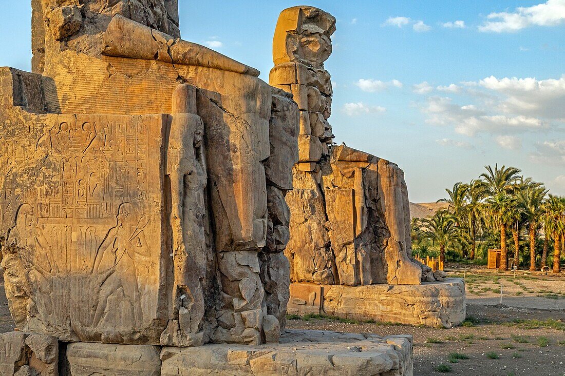 Memnon colossus, stone statues from ancient egypr, ruins of the house of millions of years, amenhotep iii mortuary temple, valley of the kings, luxor, egypt, africa