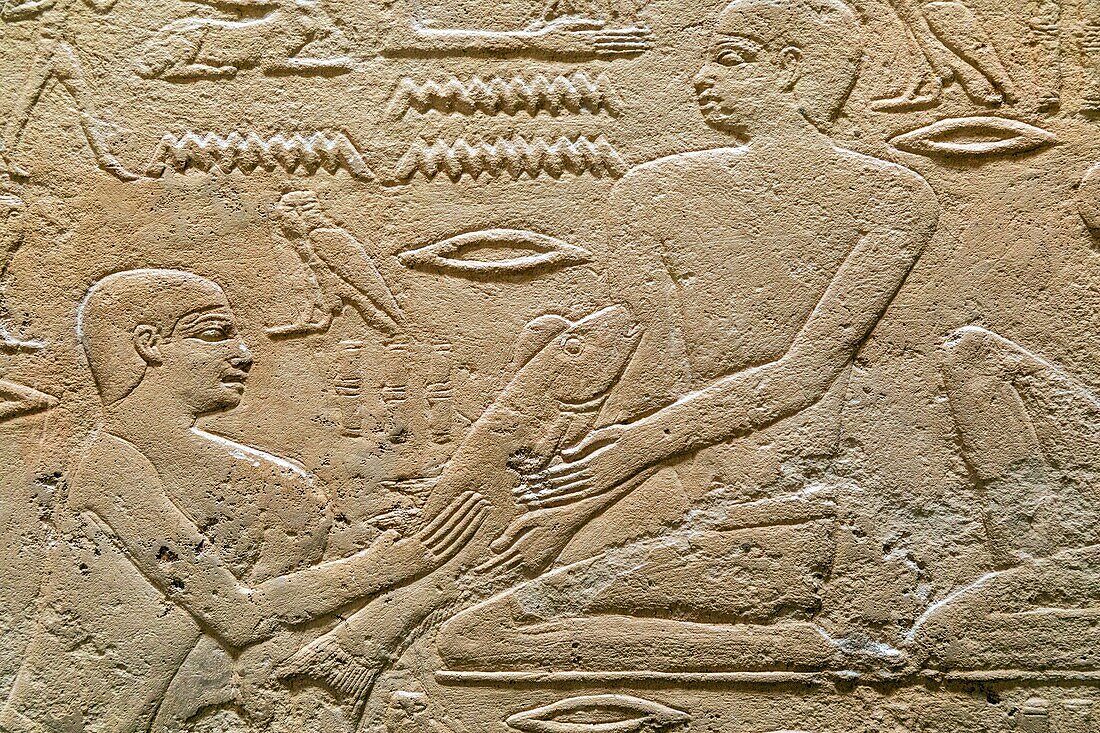 Fischereiszene, Flachrelief in der Mastaba des Kagemni, Wesir während der Herrschaft von König Teti, Nekropole von Sakkara, Region Memphis, ehemalige Hauptstadt des Alten Ägypten, Kairo, Ägypten, Afrika