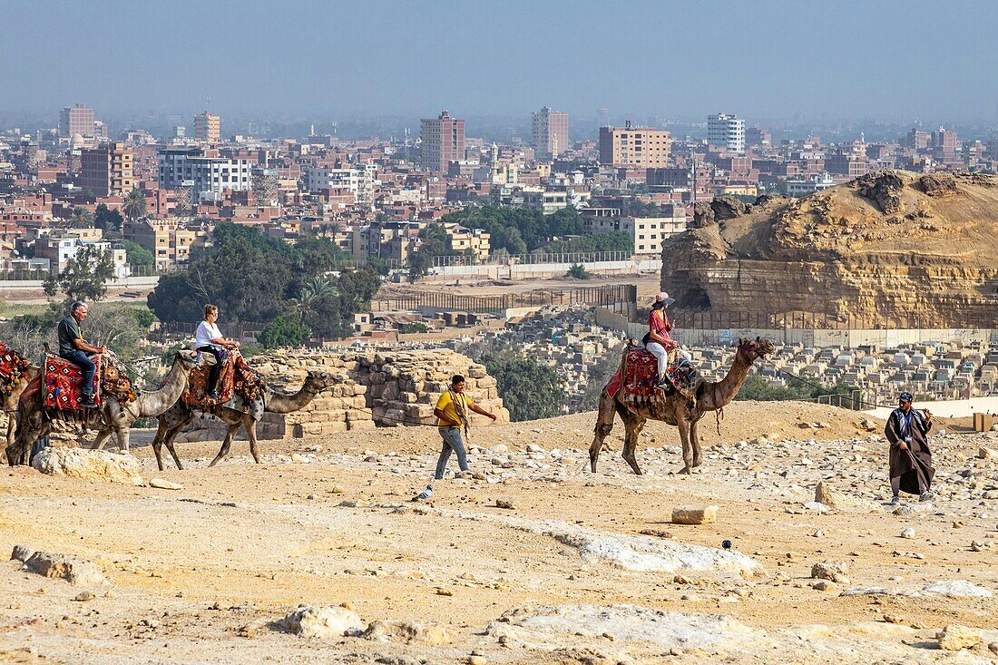 Camel-back ride for tourists at the foot of the pyramids of gizacairo, egypt, africa