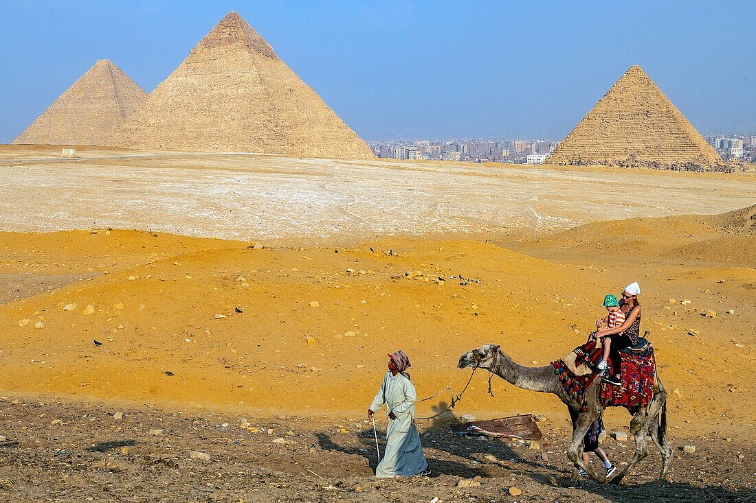 Camel-back ride at the foot of the pyramids of giza, cairo, egypt, africa