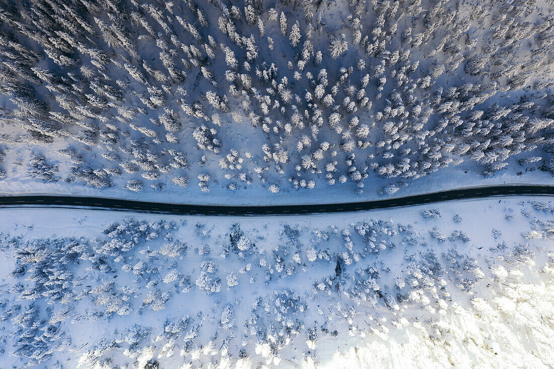 Leere vereiste Straße, die den Winterwald durchquert, der von oben mit Schnee bedeckt ist, Schweiz