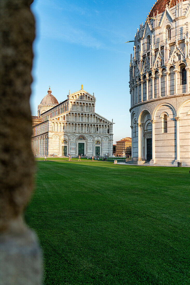Gardens surrounding the Baptistery and Pisa Cathedral (Duomo), Piazza dei Miracoli, Tuscany, Italy