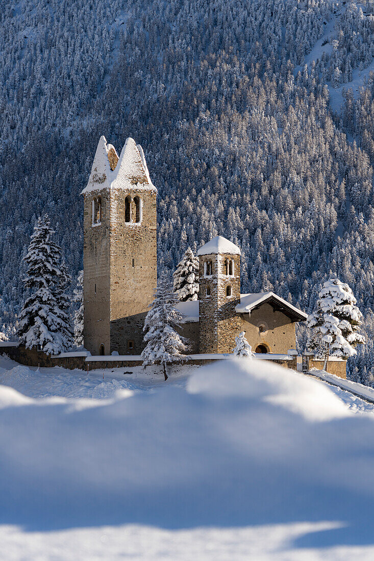 Gotische Kirche von San Gian und verschneiter Winterwald, Celerina, Kanton Graubünden, Engadin, Schweiz