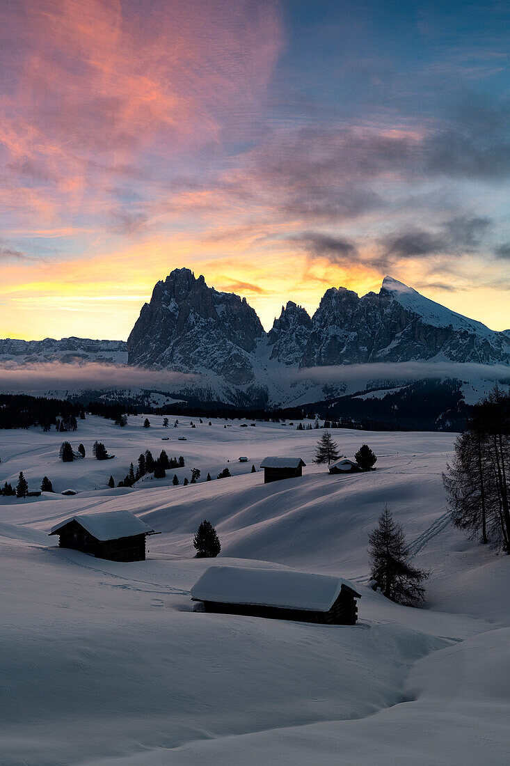 Pink winter sky at sunrise over Sassopiatto and Sassolungo from huts of Seiser Alm covered with snow, Dolomites, South Tyrol, Italy