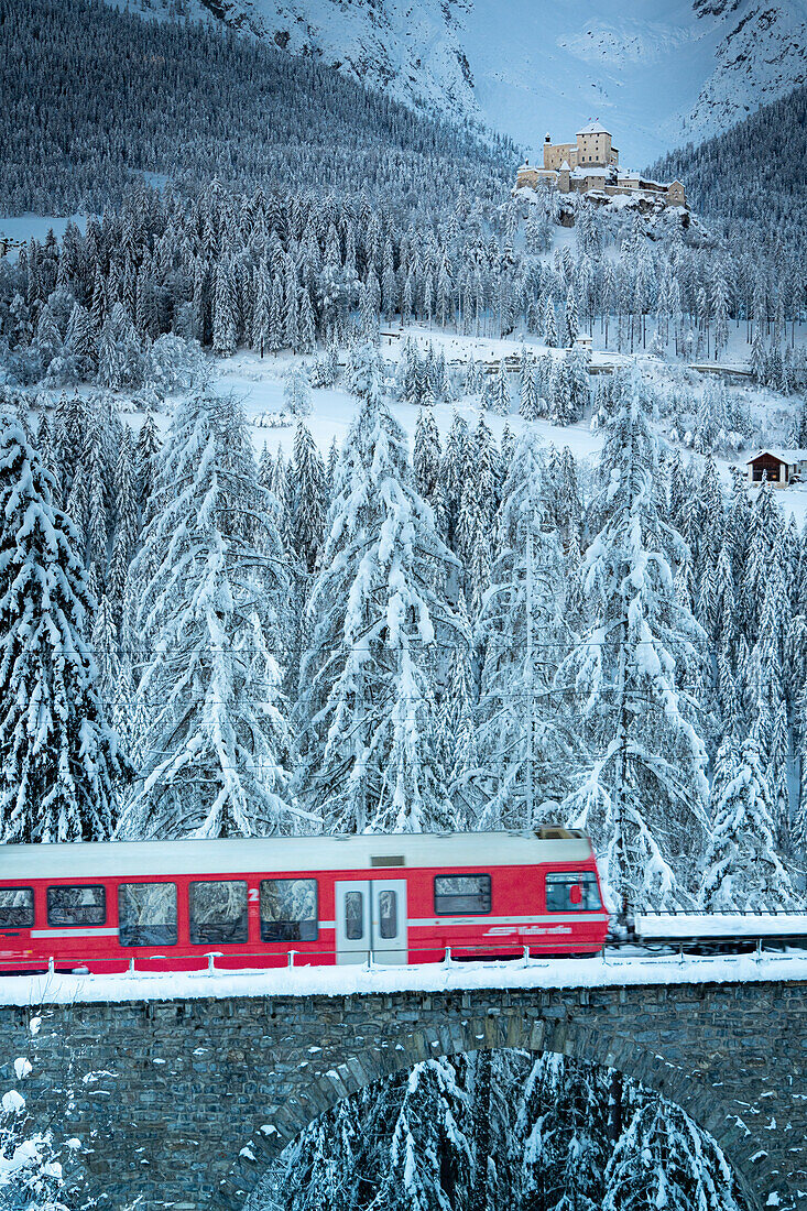 Bernina Express Zug durch den verschneiten Wald mit Schloss Tarasp im Hintergrund, Kanton Graubünden, Unterengadin, Schweiz