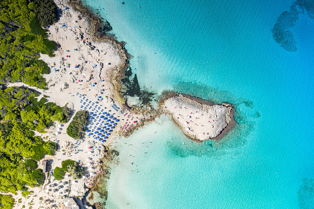 Beach umbrellas on white sand beach by turquoise sea from above, Punta della Suina, Gallipoli, Lecce, Salento, Apulia, Italy