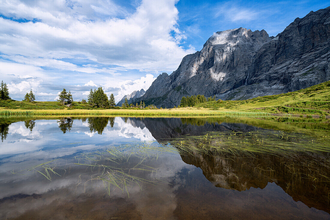 Das Wellhorn spiegelt sich im Alpensee am Pass der Grossen Scheidegg, Grindelwald, Berner Alpen, Kanton Bern, Schweiz