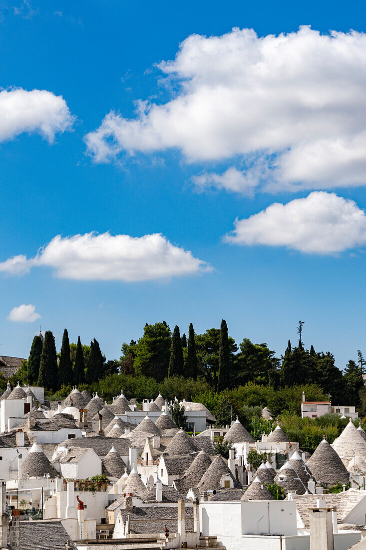 Trulli traditional dry stone huts with conical roof, Alberobello, province of Bari, Apulia, Italy