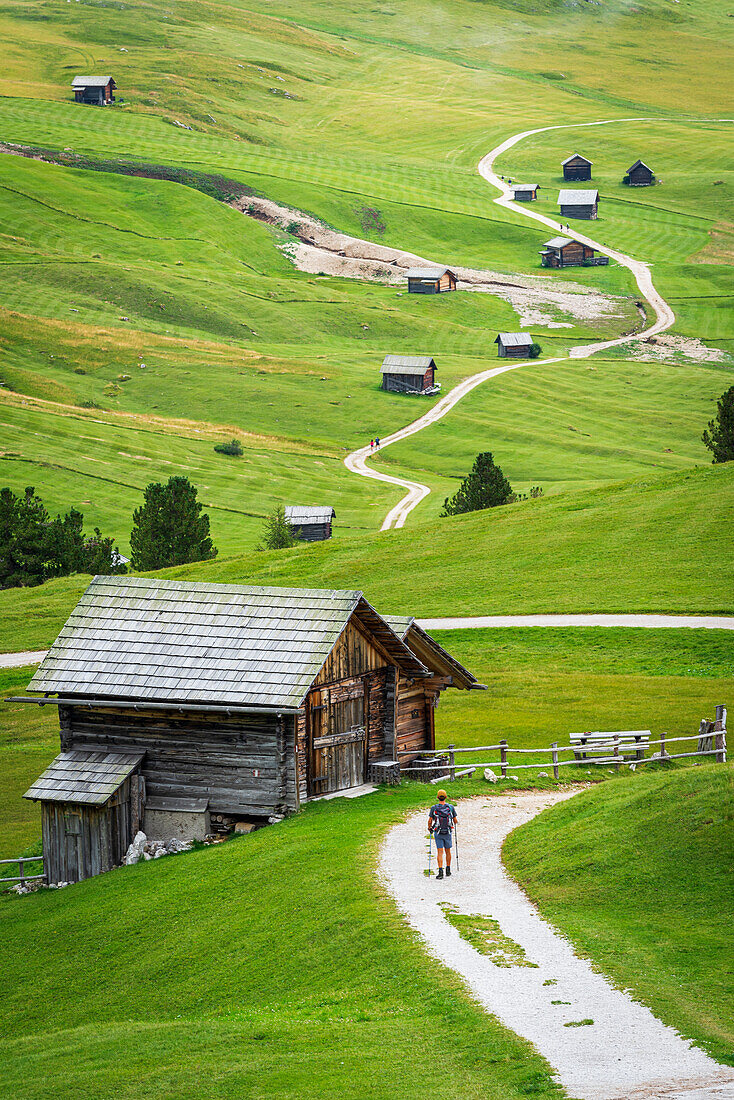 Rear view of a hiker walking a trail among mountain huts and meadows, Passo delle Erbe, Dolomites, Puez Odle, Bolzano district, South Tyrol, Italy, Europe.