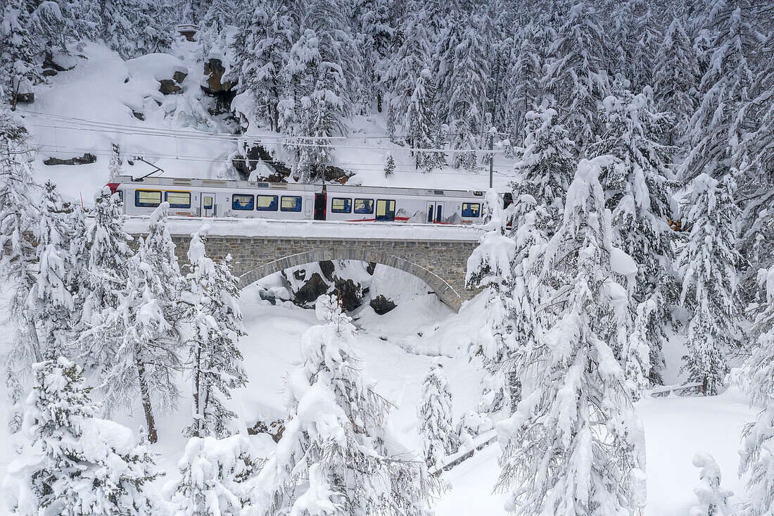 Bernina Express Zug bei der Fahrt durch den verschneiten Winterwald, Morteratsch, Engadin, Kanton Graubünden, Schweiz