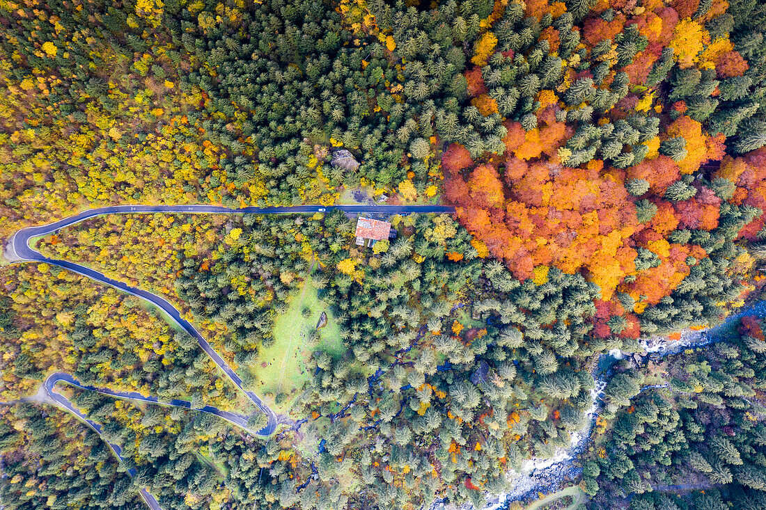 Winding road crossing the colorful Bagni di Masino forest in autumn, Val Masino, Sondrio province, Valtellina, Lombardy, Italy