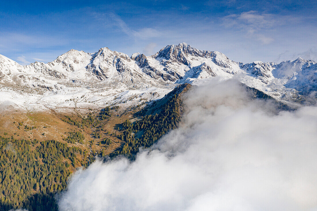 Nebeliger Herbsthimmel über bunten Lärchenwäldern und dem schneebedeckten Gipfel Vetta di Rhon, Rhätische Alpen, Sondrio, Lombardei, Italien