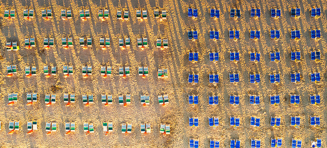Rows of sunbeds and lounge chairs on sand beach from above, Vieste, Foggia province, Gargano National Park, Apulia, Italy