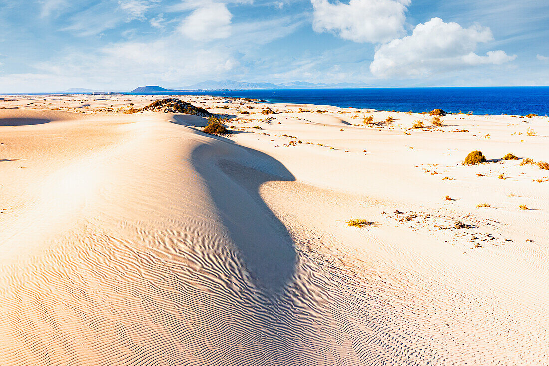 Sand dunes of Corralejo Natural Park, Fuerteventura, Canary Islands, Spain