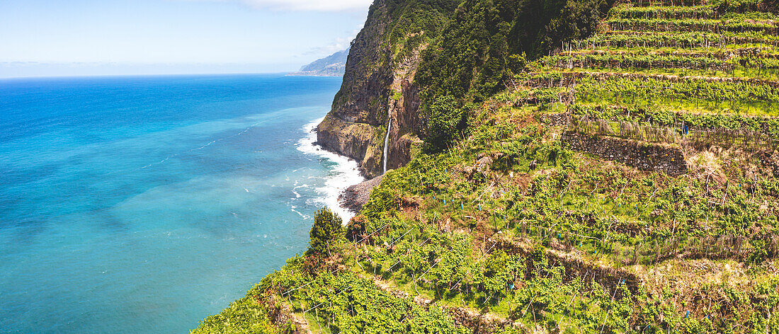 Terrassenförmige Weinberge und der Brautschleier-Wasserfall vom Aussichtspunkt Veu da Noiva, Seixal, Insel Madeira, Portugal