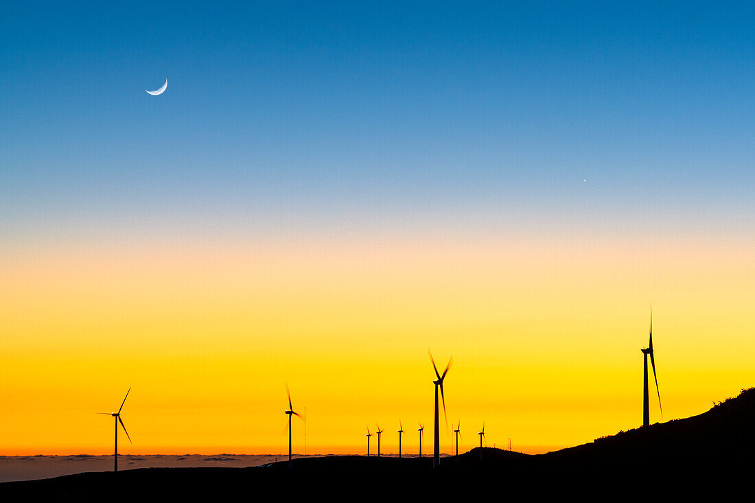 Mond im Abendhimmel über den Windkraftanlagen von Encumeada, Insel Madeira, Portugal