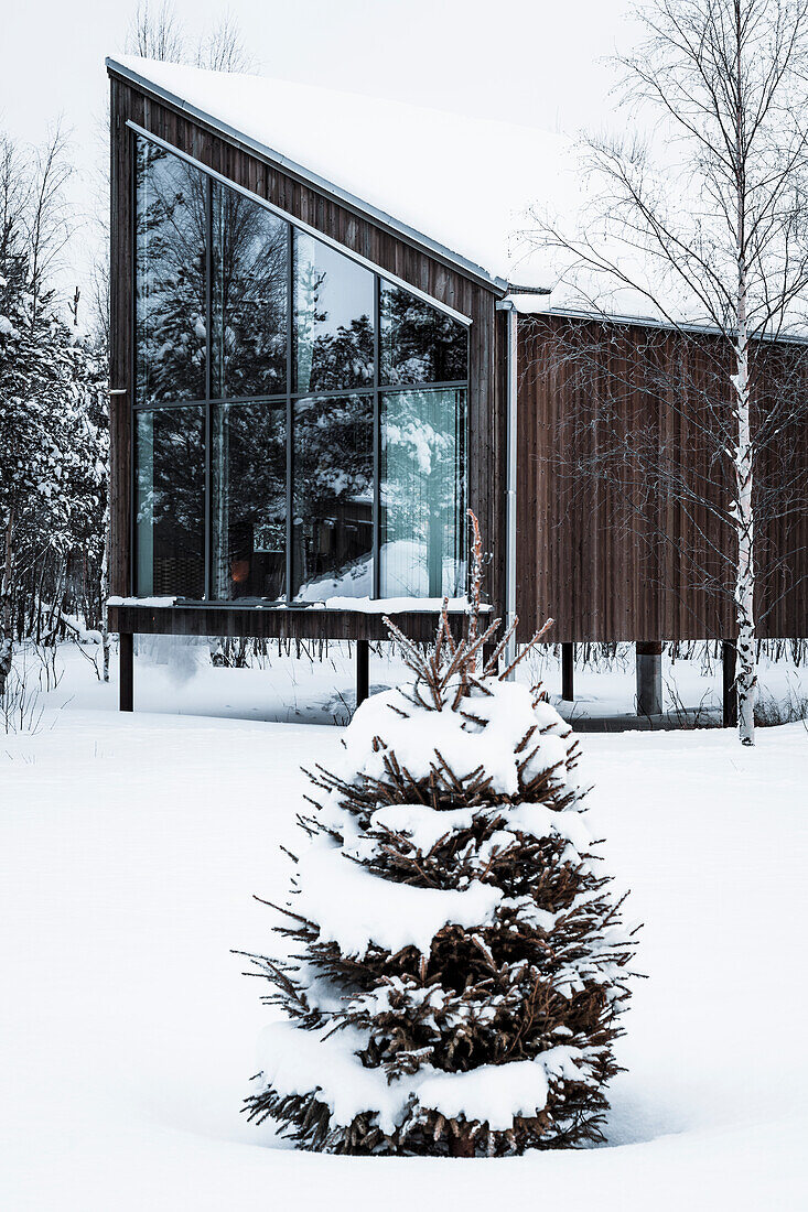 Luxussuite in einer Holzhütte mit Glaswänden, die auf Pfählen im schneebedeckten Wald steht, Arctic Bath Hotel, Harads, Lappland, Schweden