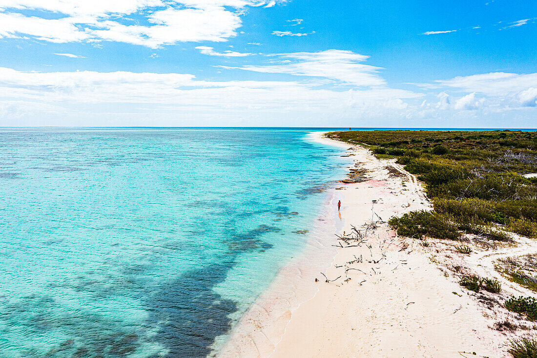Luftaufnahme einer Frau im Bikini am tropischen Strand, Barbuda, Antigua und Barbuda, Leeward Islands, Karibik, Westindien