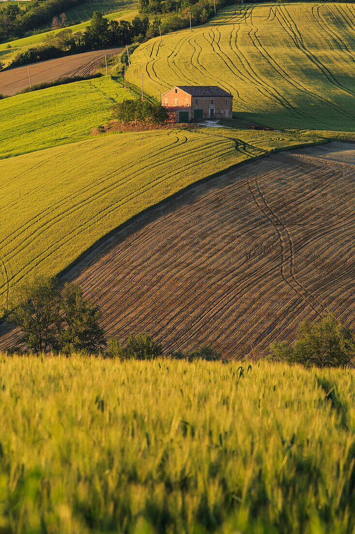 Einsames Haus auf den Hügeln bei Sonnenuntergang, Pesaro, Provinz Urbino, Marken, Italien