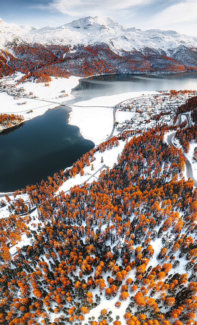 Luftaufnahme von verschneiten Lärchenbäumen über den zugefrorenen Seen Champfer und Silvaplana im Herbst, Engadin, Schweiz