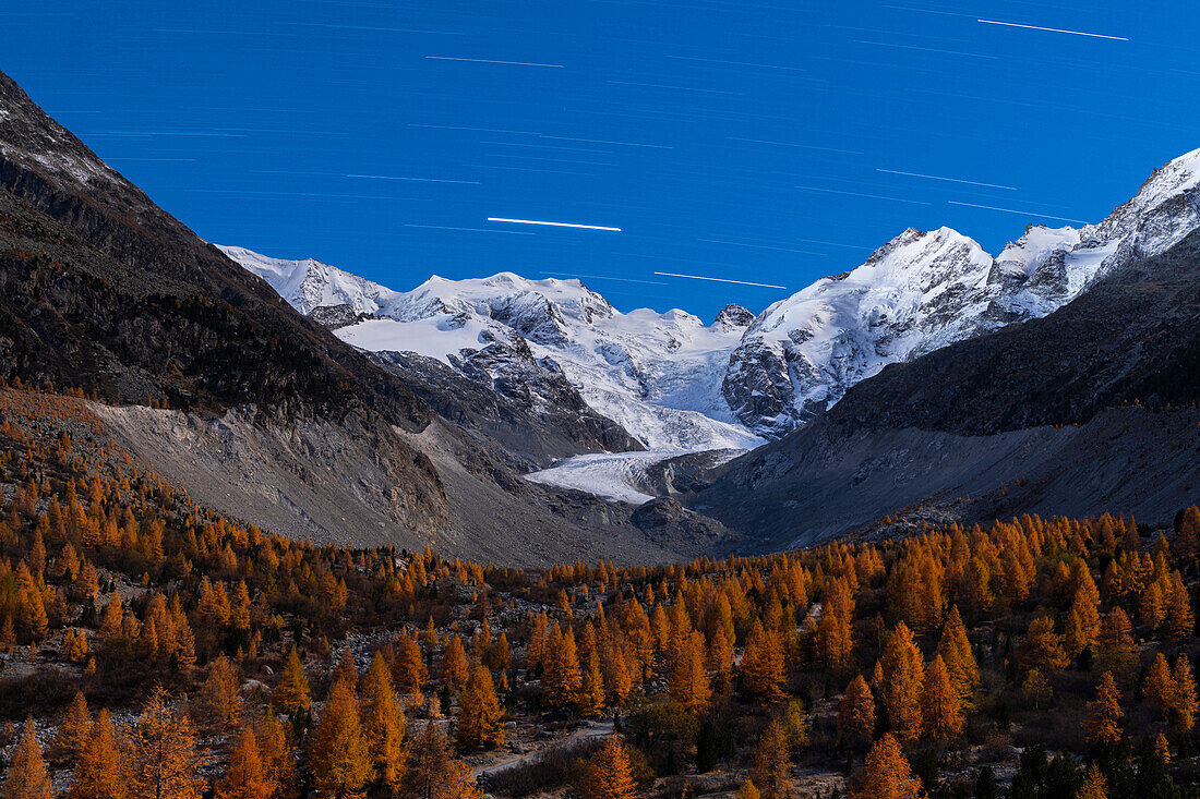 Schneebedeckter Piz Bernina und Lärchenwald unter dem Sternenweg im Herbst, Morteratsch, Kanton Graubünden, Schweiz