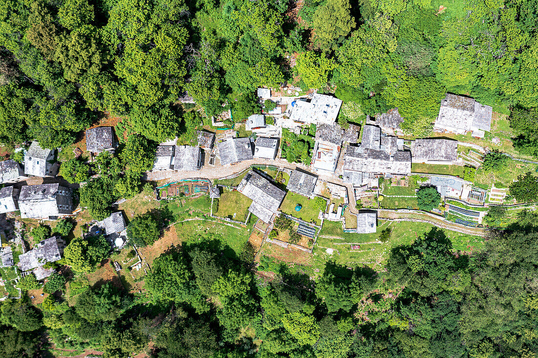 Grüner Wald umrahmt die Steinhütten im Alpendorf Savogno, Luftaufnahme, Valchiavenna, Valtellina, Lombardei, Italien