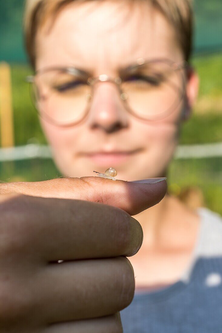 Perrine doudin, helixine, snail farmer, producer of organic snails, flavigny sur ozerain, (21) cote-d'or, burgundy, france