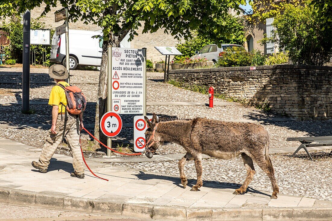 On the saint james way, village and eternal hill of vezelay, (89) yonne, bourgundy, france