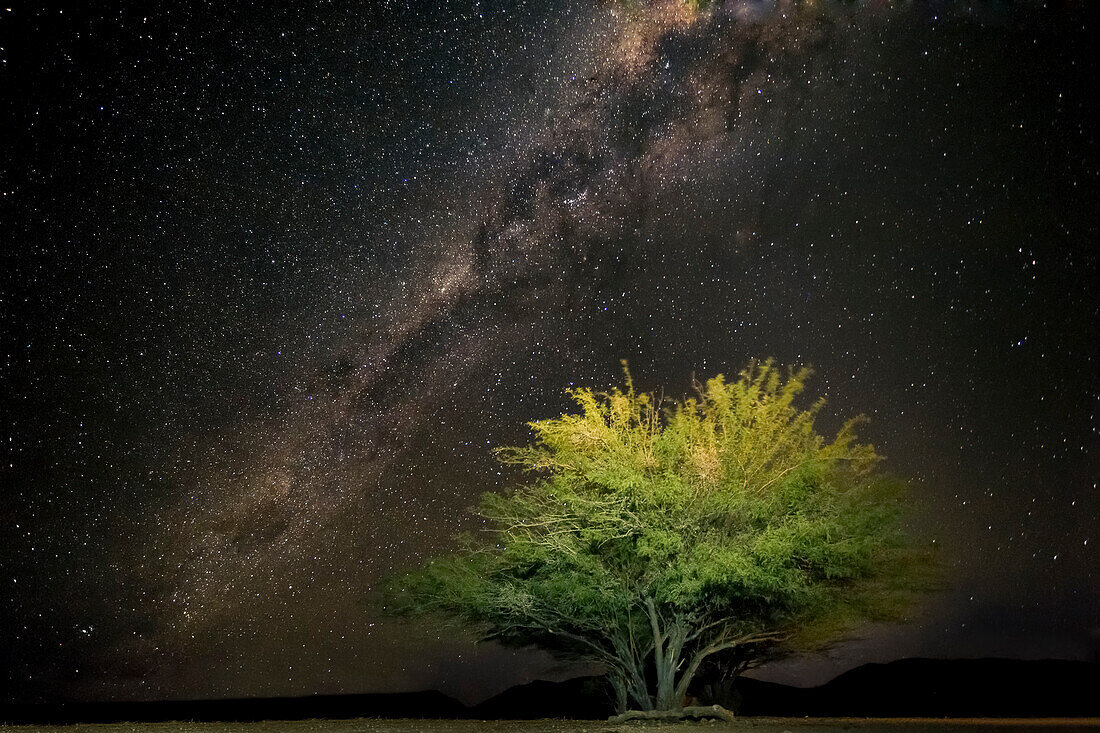 Milchstraße über der Namib-Wüste; Namibia; Südliches Afrika