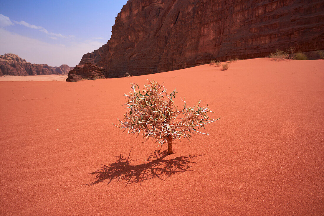 Wadi-Rum desert, Jordan, Middle East, Asia