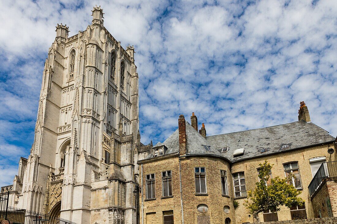 Notre dame de saint omer cathedral, saint omer, (62) pas-de-calais, france