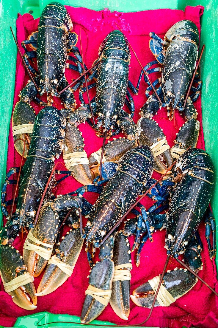 Fish market, boulogne sur mer, (62) pas-de-calais, france