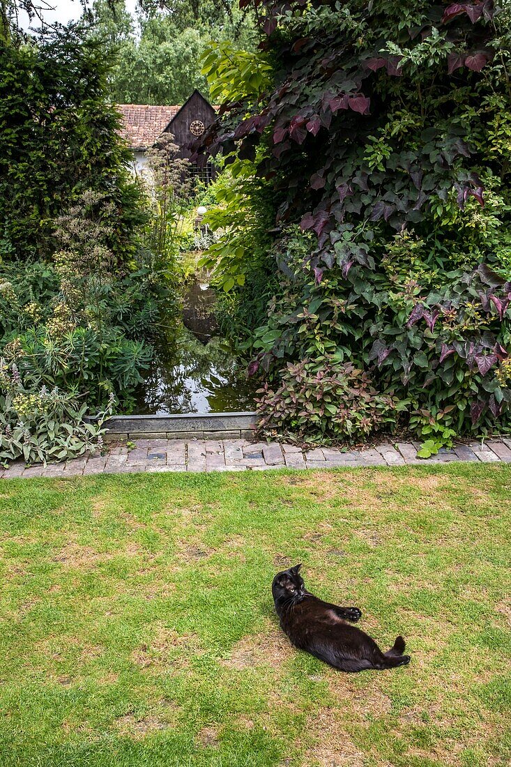 Botanischer Garten von Beau pays, calais, (62) pas-de-calais, frankreich