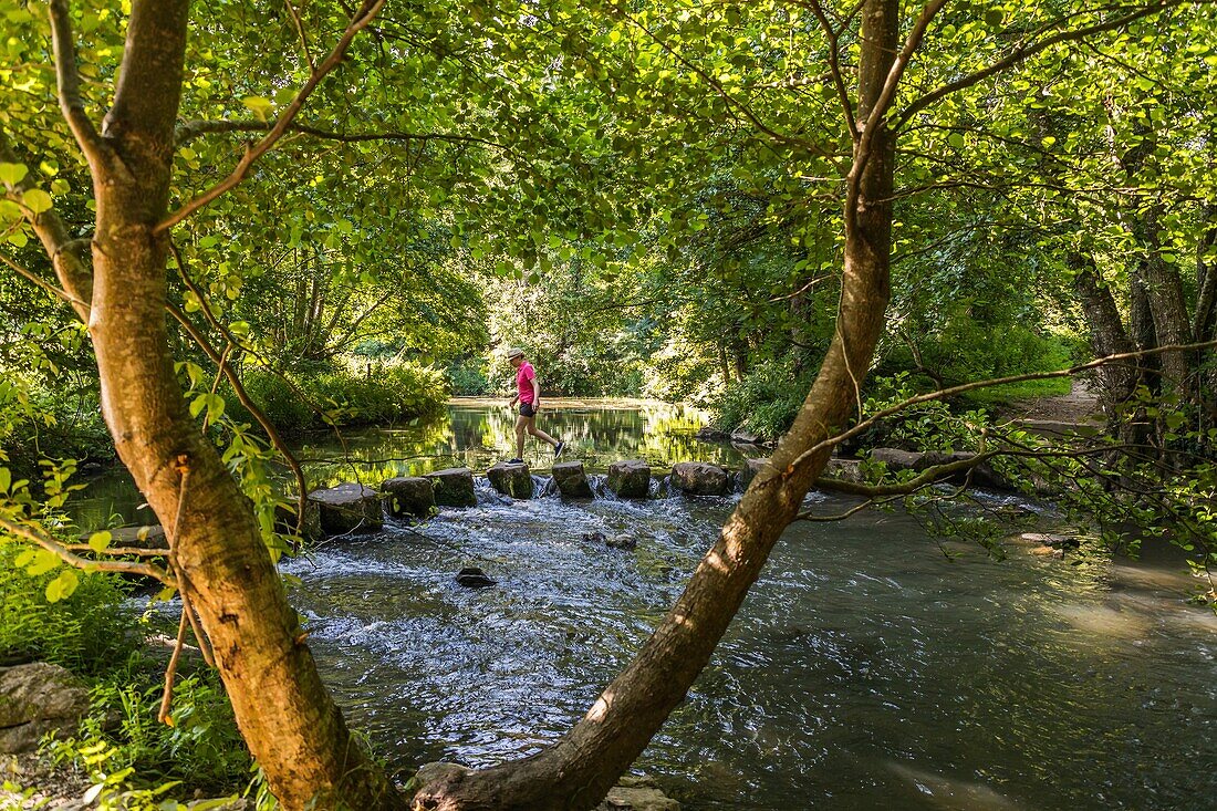 Japanische Trittsteine über der Erve, Saulges, (53) mayenne, pays de la loire