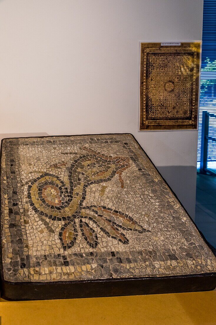 Mosaikplatte mit einem Delphin, Archäologiemuseum, Jublains, (53) mayenne, pays de la loire