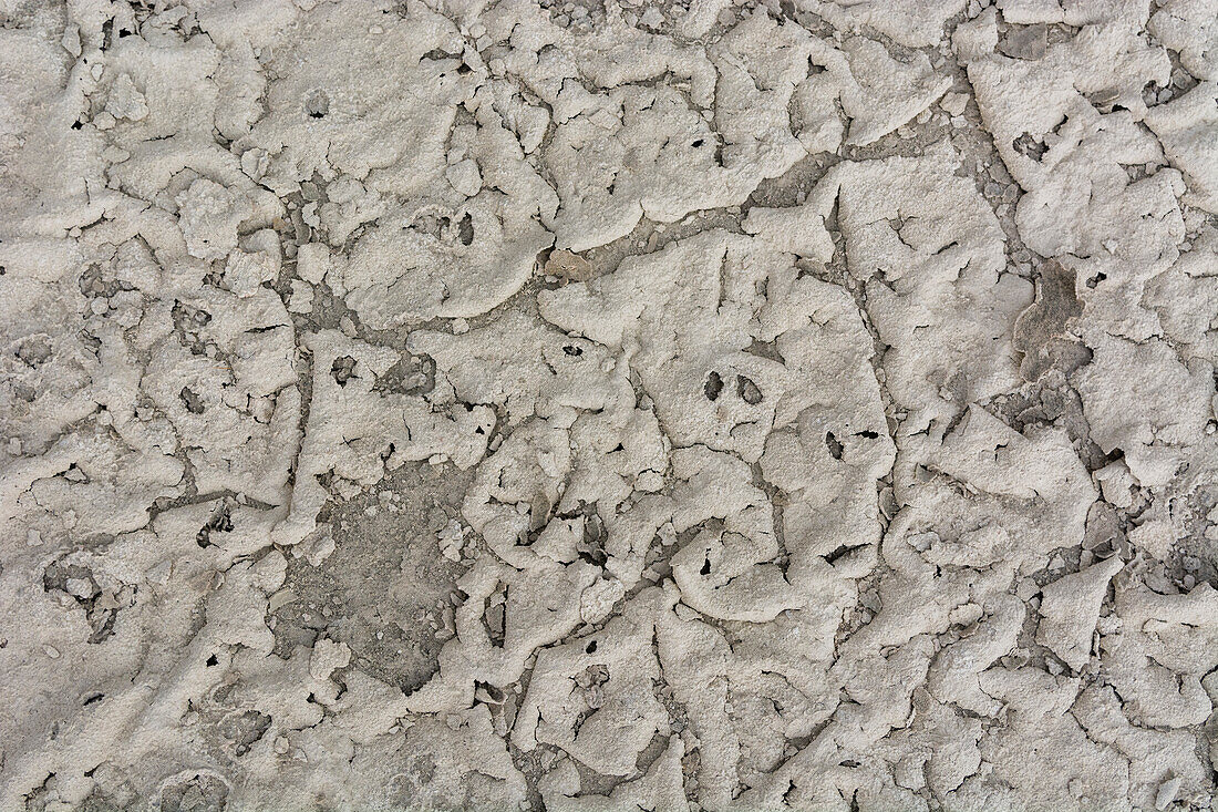 Detail der Salzpfanne, Nxai Pan, Botswana