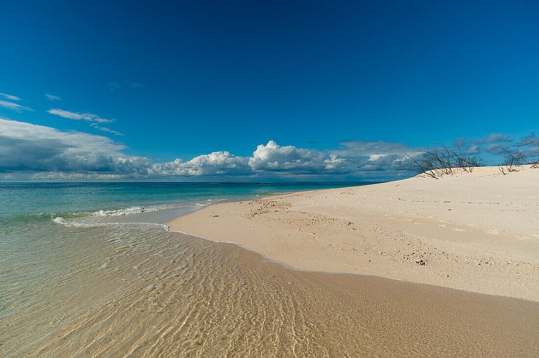 Denis Island, Seychelles.