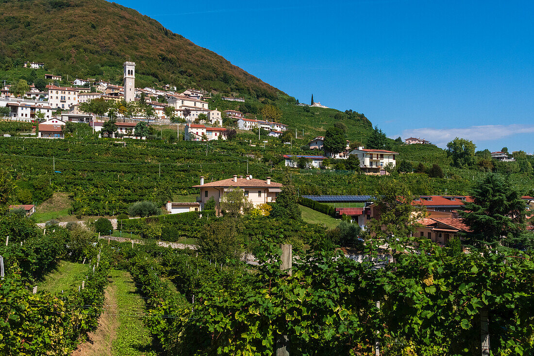 Santo Stefano di Valdobbiadene, Veneto, Italy.