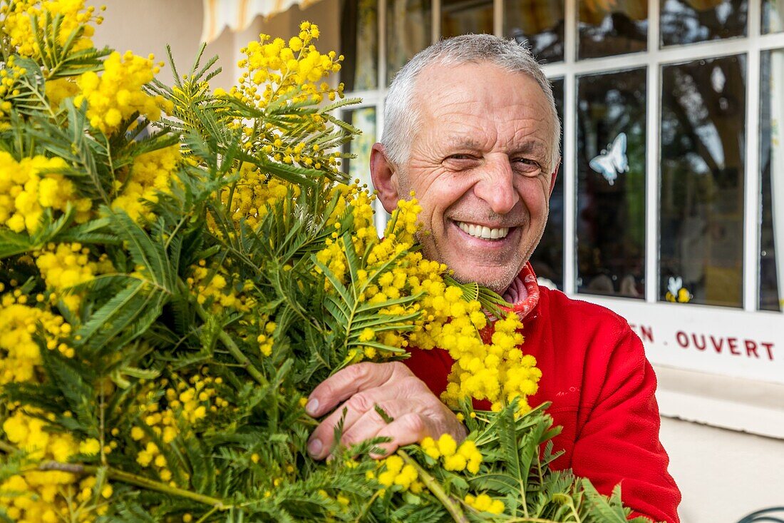 Bernard vial, mimosist, horticulturist specialising in the growing of mimosas, tanneron