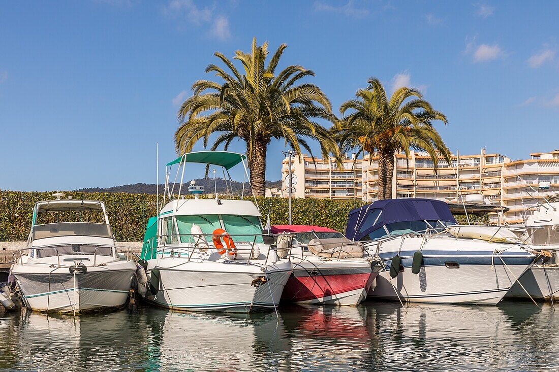 Fahrt mit dem Elektroboot auf der Siagne, Mandelieu la Napoule