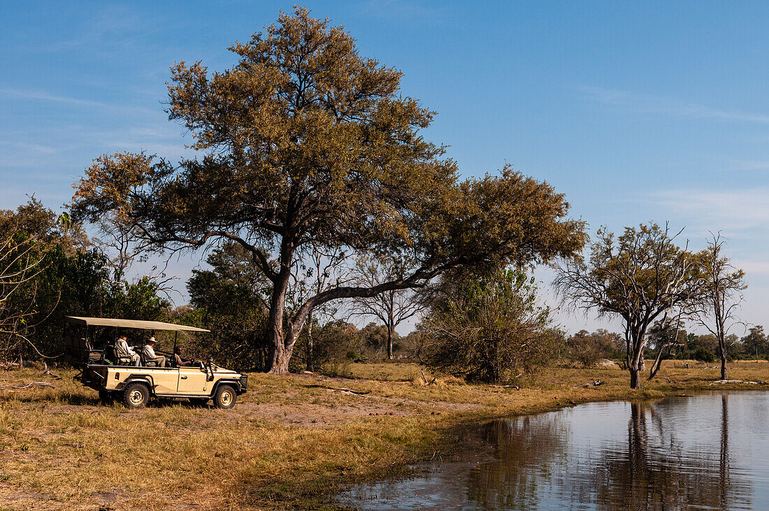 Savute Channel, Linyanti, Botswana.